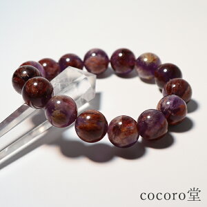 VR p[Xg[ yiz K[fAWXg uXbg 14mm F17.5cm TCŶ݉EC[ύX fB[X Y   y[֕sz