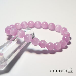 VR p[Xg[ yiz Nc@Cg uXbg 8mm F16.5cm TCŶ݉EC[ύX fB[X Y   y[֕sz