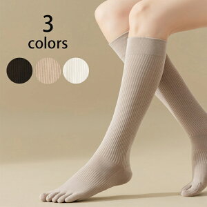 nC\bNX C n 5{w fB[X Vv F2Zbg