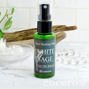 sAq[O~Xg zCgZ[W 򉻃Xv[ Z[WXv[ Xv[{g uXbg  VR p[Xg[ Mtg v[g 蕨 j  j  y[֕s