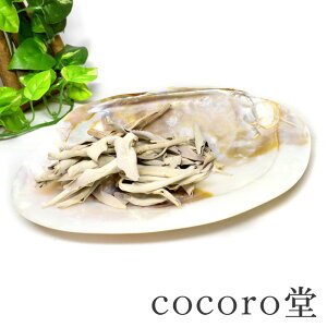 y10OFFzVR p[Xg[ zCgZ[W&VFv[g̏򉻃Zbg _ 򉻃Z[W10g VFv[g TCYF110×150mm [F25mmfB[X Y  p[Xg