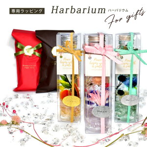 VR j[A p[Xg[ n[oEbsO] n[oE pbsO Mtg y[֕sz v[g 蕨 j  j  a bsO 