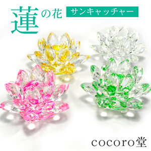 VR p[Xg[ u TLb`[ NX^KX @̉ LOTUS Iׂ4 CeA G   ^   fB[X Y   y[֕sz