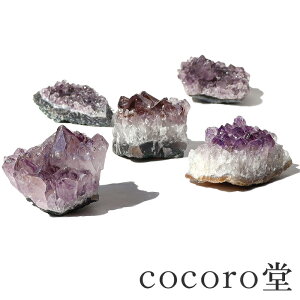 VR p[Xg[ AWXg NX^[  udF100`180gOヌfB[X Y  p[Xg[ y[֕sz 8 Mtg v[g 蕨 j  j 