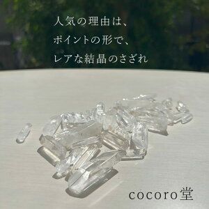 y50OFFzVR p[Xg[   200g uWY NX^ |Cg lߍ킹    Mtg v[g 蕨 j  j  a bsO 