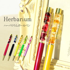 VR p[Xg[ u n[oE {[y Herbarium Iׂ5 ^   hCt[ Mtg  v[g 蕨 fB[X Y  hV̓ j  j  