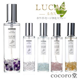 ホワイトセージ 浄化スプレー ルカス LUCAS 100ml セージスプレー 天然成分100% 幸運 お守り 瞑想 ヨガ ルーム スプレー アロマスプレー フレグランス マスクスプレー アロマ 天然石 パワーストーン 浄化 ブレスレット 水晶 シトリン ラッピング プレゼント