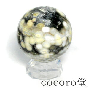 VR p[Xg[ yiz }_KXJY I[V WXp[ ۋ udF746g aF81mm NAtfB[X Y   y[֕sz Mtg v