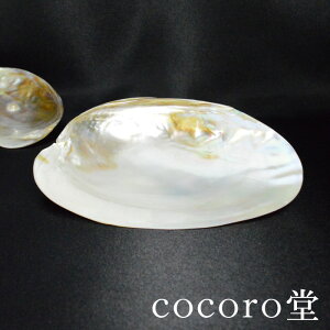 VR p[VF v[g VRLkZ[WM  M p[Xg[ uXbg ANZT[ sAX O Xgbv ȂǏ x y[։z Mtg v[g