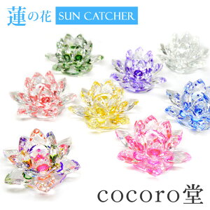 VR p[Xg[yזz @̉ TLb`[ uNX^KX CeA G   ^  fB[X Y   y[֕sz Mt