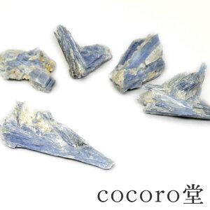 VR yzp[Xg[ yPi̔z Iׂ5 uW ~iXWFCXBY JCiCg  ufB[X Y   y[֕sz Mtg v[g 