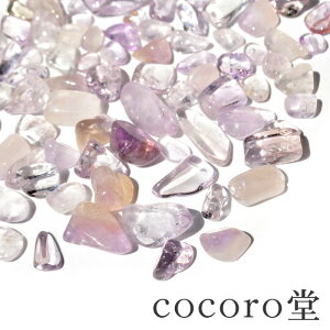 y10OFFzVR p[Xg[ yזz x_[ AWXg  u dF100g fB[X Y   Mtg v[g 蕨 j  j  a b