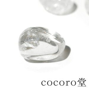 VR y[֑zp[Xg[   Z䊐|[`tTCYF13×7×10`16×10×12mm dF2`3gfB[X Y   Mtg v[g 蕨 j 