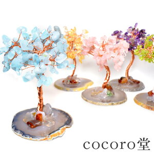 VR p[Xg[ yזz Iׂ5 VR΃c[  uTCYF100×65×55mm dF80`100gfB[X Y   y[֕sz Mtg v[g