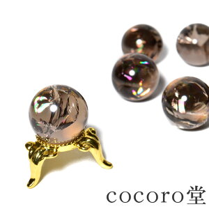 VR p[Xg[ yזz uWY ACX X[L[NH[c ۋ u t cocoro|[`tTCYFa20mm dF12`13gfB[X Y  