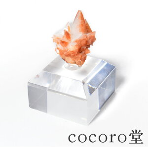 VR p[Xg[ y_́z  ΖkȎY JTCg  u NAtTCYF18×20×(܂)43mm d(܂)F22gfB[X Y   y[֕s