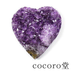 VR p[Xg[ y_́z EOACY AWXg n[g^ NX^[ uTCYF97×90×45mm dF447gfB[X Y   y[֕sz Mtg v[