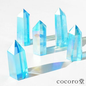 VR p[Xg[ yזz ANAI[ |Cg uTCYF13`22×13`22×41`78mm fB[X Y   Mtg v[g 蕨 j  j  a 