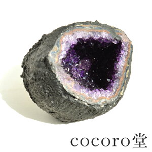 VR p[Xg[ y_́z EOACY AWXgh[ WI[h uTCYF105×125×105mm dF1540gfB[X Y   y[֕sz Mtg v[