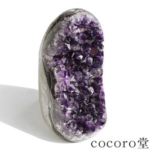 VR p[Xg[ y_́z EOACY AWXg NX^[ ӃJbg uTCYF72×54×106mm dF569gfB[X Y   y[֕sz Mtg v