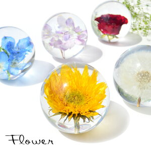生花 ガラス オブジェの人気商品 通販 価格比較 価格 Com