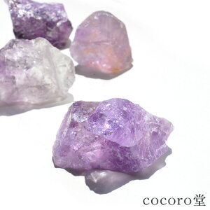 VR p[Xg[ yזz uWY AWXg t  udF40`70gfB[X Y   y[֕sz Mtg v[g 蕨 j  j  