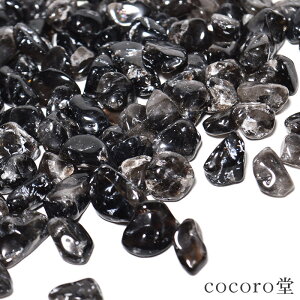 �V�R�� �p���[�X�g�[�� ������� �����I�� 100g �嗱 ������ �����ߗp �򉻗p �K�^ ��� ������ ������ �v�l�� ���f�� ���f�B�[�X �����Y ���^ ���� ���� �d�� �u���X���b�g �u���X �M�t�g �v