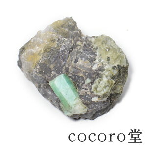 VR p[Xg[ y_́z uWY Gh  uTCYF66×56×32mm dF129gfB[X Y   y[֕sz Mtg v[g 蕨 j