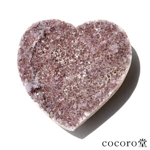 VR p[Xg[ yiz EOACY AWXg n[g^ NX^[ u TCYF91×87×29mm dF227g fB[X Y   y[֕sz Mtg v[