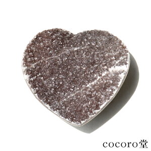 VR p[Xg[ yiz EOACY AWXg n[g^ NX^[ u TCYF76×77×28mm dF161g fB[X Y   y[֕sz Mtg v[