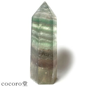 VR p[Xg[ yiz t[Cg C{[ |Cg u LY TCYF27×29×81mm dF122g fB[X Y   y[֕sz