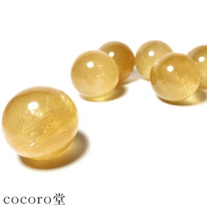 VR p[Xg[ yזz S[f JTCg C{[ ۋ u t TCYFa31`34mm dF46`56g fB[X Y   y[