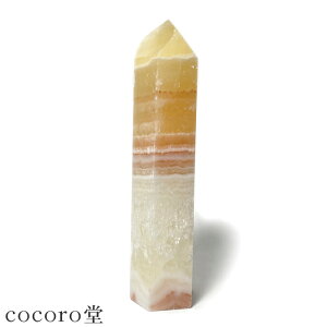 VR p[Xg[ y_́z LVRY IWJTCg |Cg u  TCYF30×25×111mm dF150g fB[X Y   y[֕sz