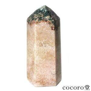 VR p[Xg[ y_́z uWY sNAWXg |Cg u TCYF51×39×108mm dF340g fB[X Y   y[֕sz