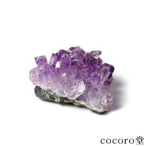 VR p[Xg[ y_́zCh J[Y AWXg GX` NX^[  u TCYF27×24×16mm dF9g fB[X Y   y[֕s