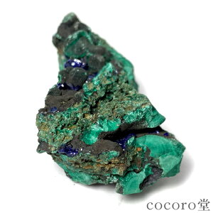 VR p[Xg[ yiz Y AYCg  u TCYF63×34×27mm dF84g fB[X Y   y[֕sz