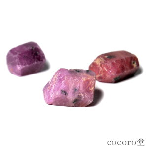 VR p[Xg[ ^UjAY  Ăэ  r[ 3 1`2g u Z䊐|[`t fB[X Y  yזz