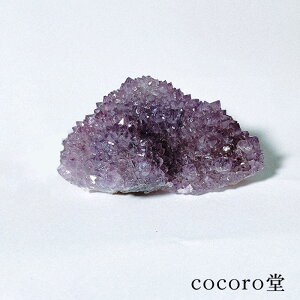 VR p[Xg[ y_́z ChY T{e AWXg JN^XAWXg  u TCYF98×121×55mm dF438g fB[X Y   y[֕sz