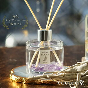 zCgZ[W  fBt[U[ JX LUCAS ~j 2Zbg VR100% 5ނIׂ fB[X Y   VR p[Xg[ y[֕sz