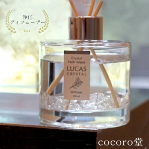 zCgZ[W  fBt[U[ JX LUCAS VR100% 5ނIׂ fB[X Y   VR p[Xg[ y[֕sz