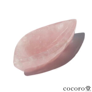 VR p[Xg[ y_́z uWY [YNH[c [t^  M 򉻎M u TCYF58×141×32mm dF306g fB[X Y   y[֕sz