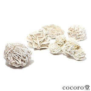 VR p[Xg[ y1z LVR `Y ̃o fU[g[Y  u dF65`130g fB[X Y   y[֕sz