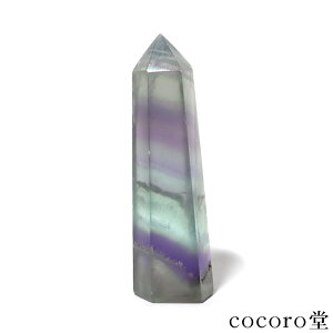 VR p[Xg[ yiz t[Cg |Cg u LY TCYF20×18×67mm dF43g fB[X Y  