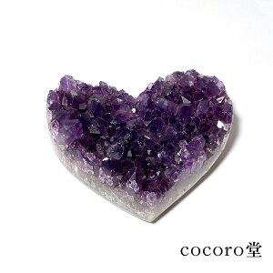 VR p[Xg[ y_́z EOACY AWXg n[g^ NX^[ u TCYF76×64×22mm dF162g fB[X Y   y[֕sz