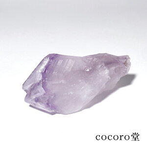 VR p[Xg[ y_́z AWXg t@g |Cg  u TCYF93×60×30mm dF178g fB[X Y   y[֕sz