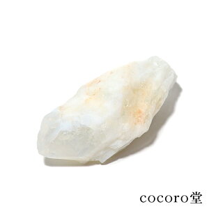 VR p[Xg[ yiz uWY AWXg IpCgH  u TCYF32×79×29mm dF75g fB[X Y   y[֕sz