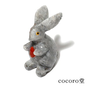 VR p[Xg[ yiz h}Cg  u TCYF23×33×56mm dF52g fB[X Y  