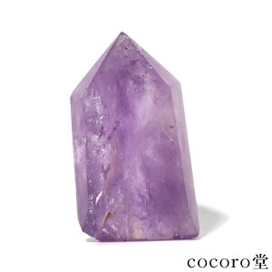 VR p[Xg[ yiz AWXg C{[ |Cg u  TCYF37×20×65mm dF79g fB[X Y  y[֕sz