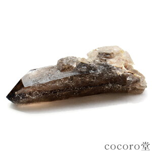 VR p[Xg[ yiz }ECY X[L[NH[c  |Cg u TCYF14×48×13mm dF12g fB[X Y   y[֕sz