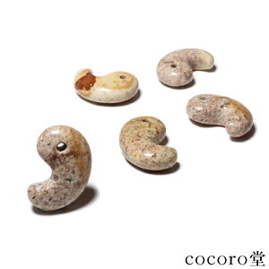 VR p[Xg[ yזzY P  u TCYF22×14mm fB[X Y  